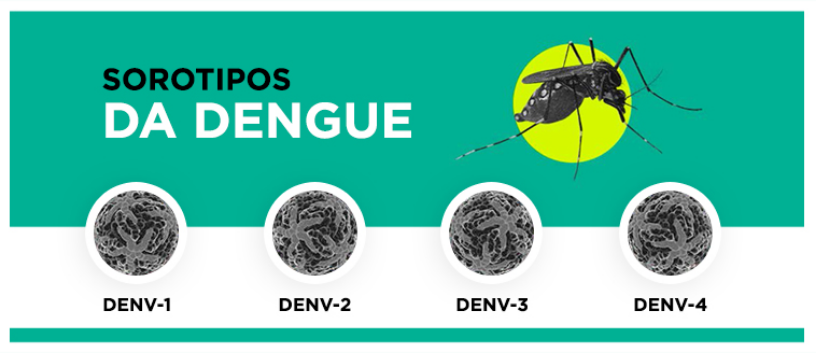 Sorotipos dengue
